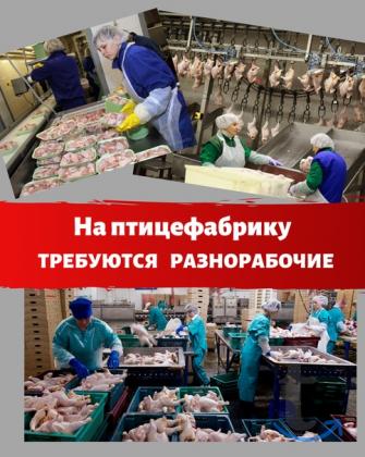 Разнорабочий (упаковщик) вахта в Йошкар-Оле